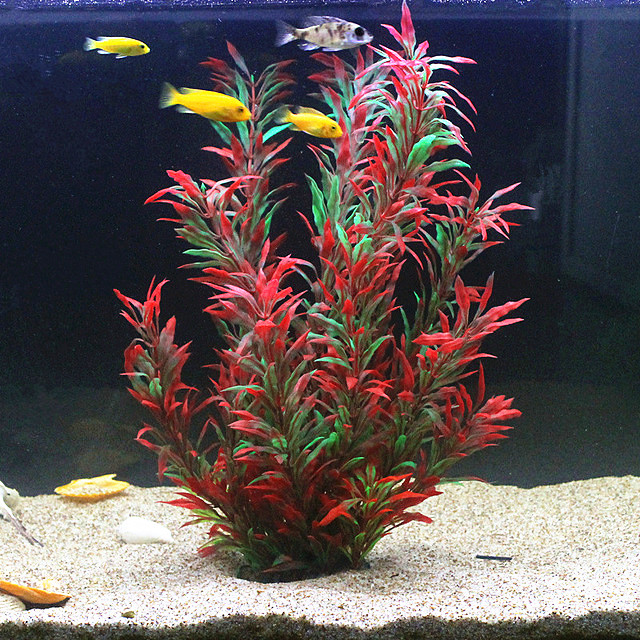 Planted Aquarium Equipment - 50CM Kolam Ikan Buatan Tanaman Langka