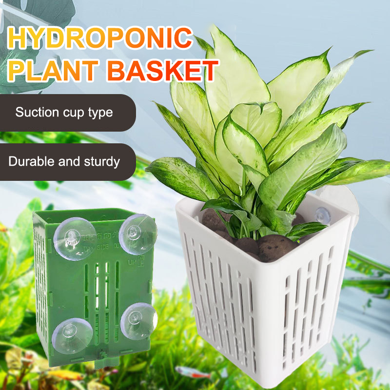 Kait cangkir hisap gantung pem - Planted Aquarium Aquascape ulasan dan harga