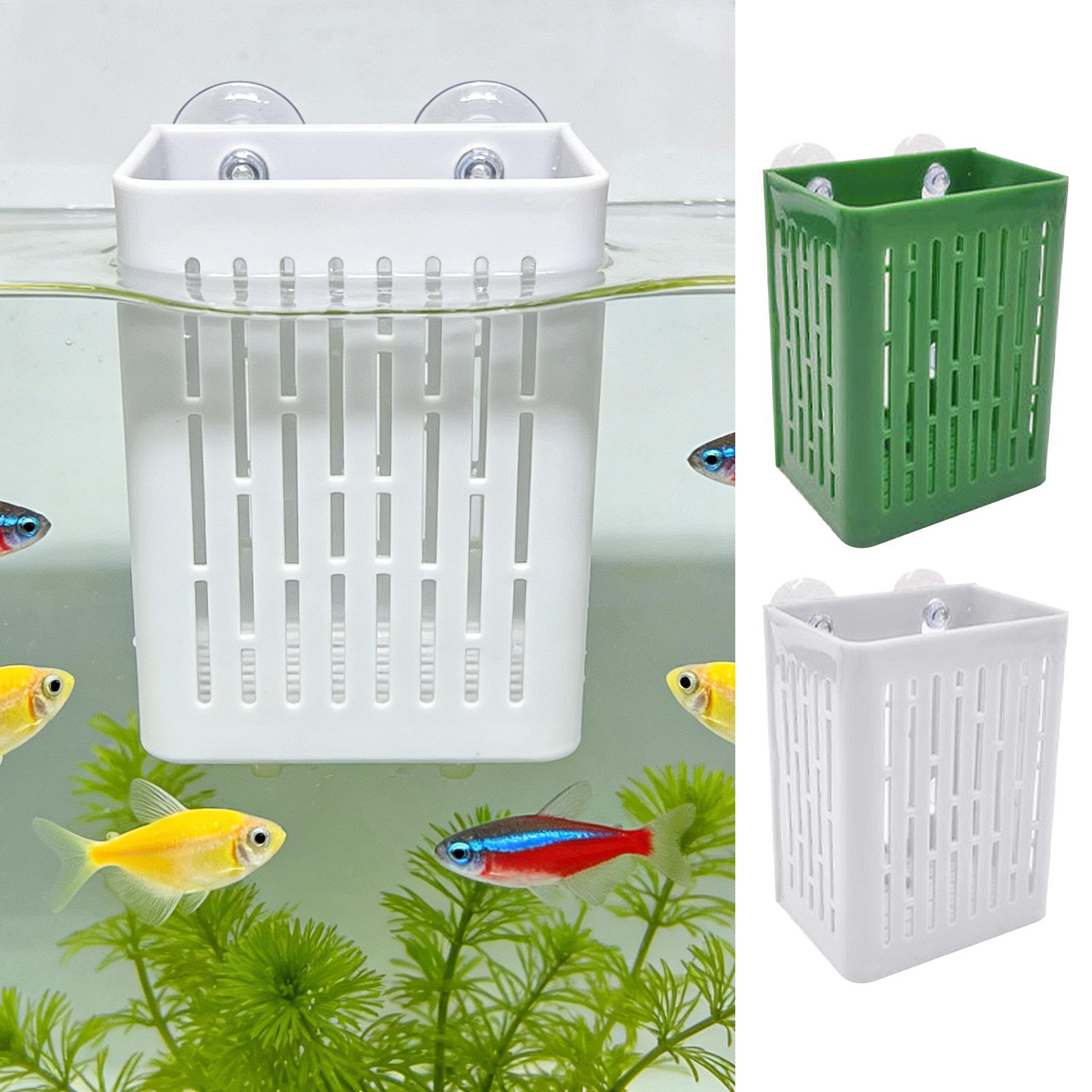 5 buah Wadah Tanaman Akuarium, - Planted Aquarium Aquascape ulasan dan harga