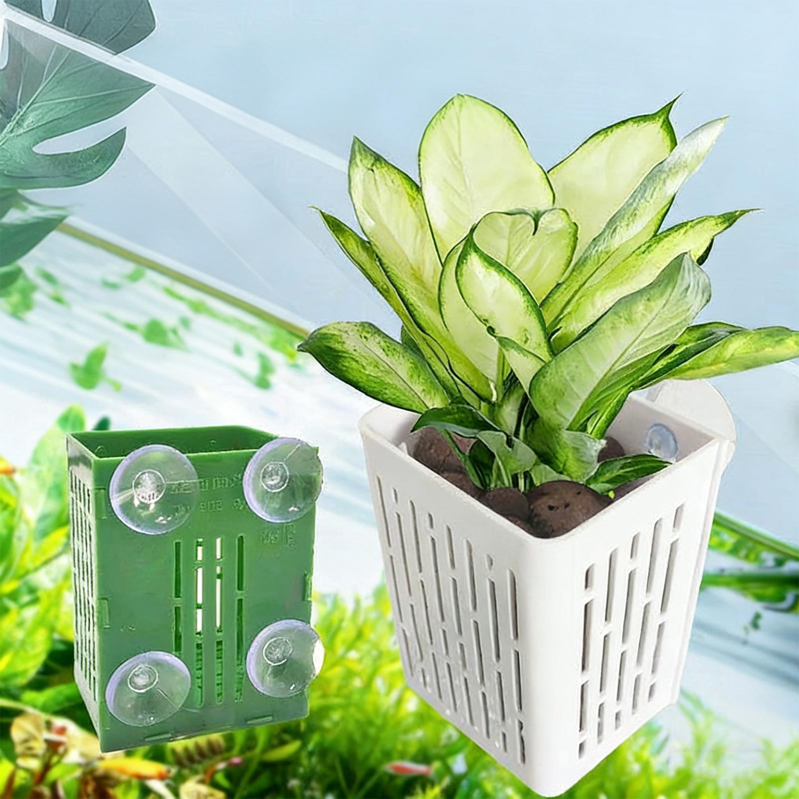 5 buah Wadah Tanaman Akuarium, - Planted Aquarium Aquascape ulasan dan harga