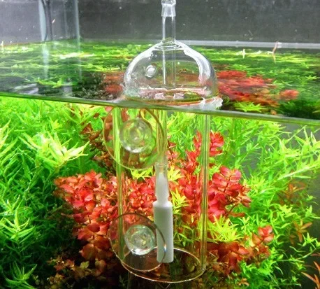 VIV Do perangkat akuarium kaca - Planted Aquarium Equipment ulasan dan harga