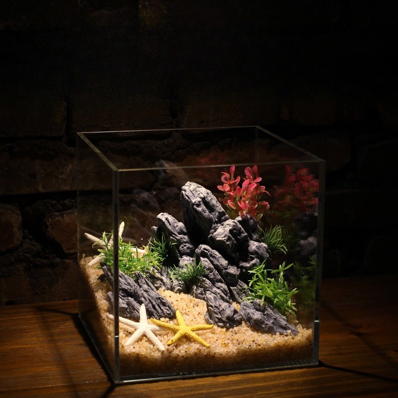 Dekorasi Akuarium Simulasi Bat - Planted Aquarium Aquascape ulasan dan harga