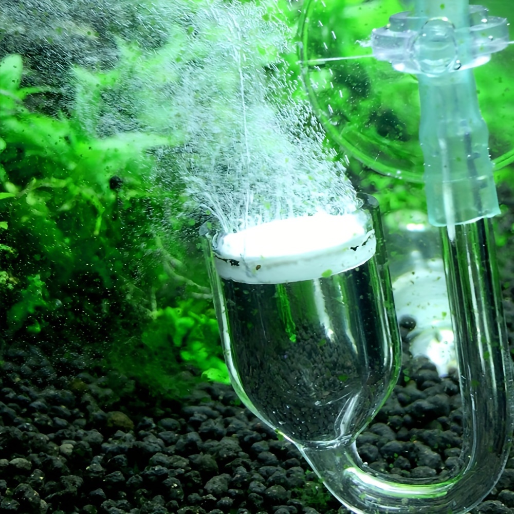 Aquarium kaca CO2 Atomizer Dif - Planted Aquarium Equipment ulasan dan harga