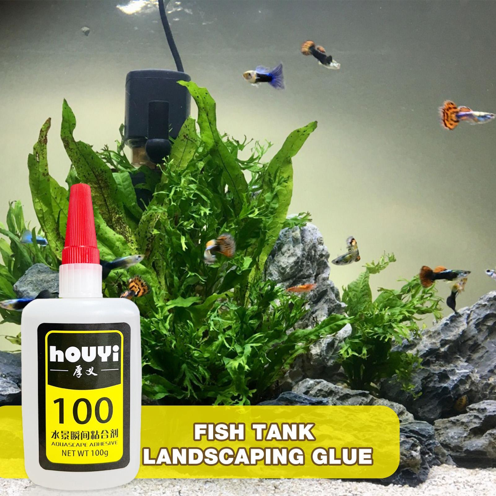 50/100g Lem Instan Bening untu - Planted Aquarium Aquascape ulasan dan harga