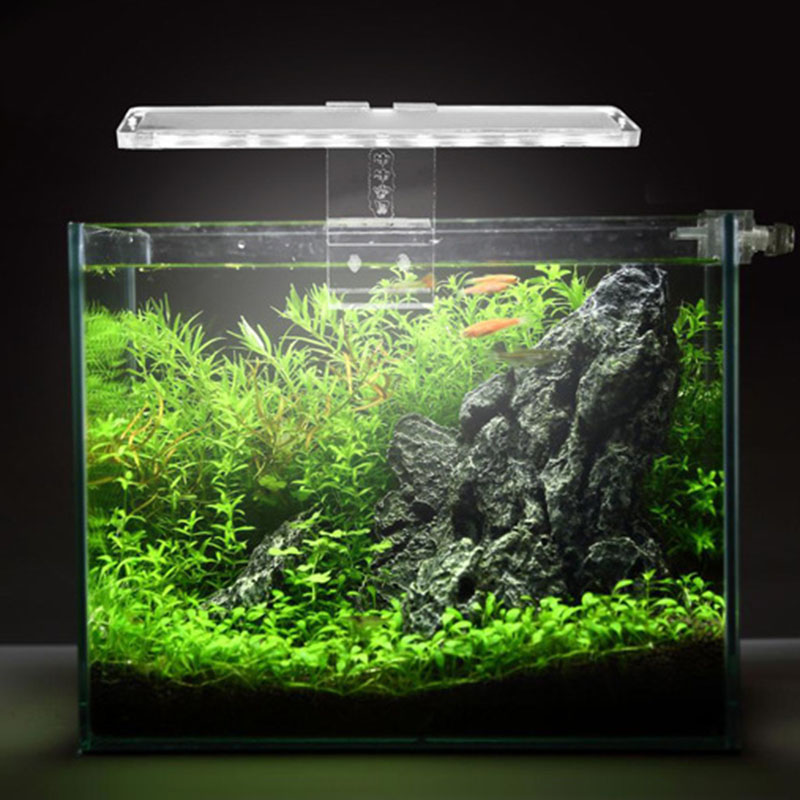 Lampu Akuarium LED Lampu Tanam - Planted Aquarium Price ulasan dan harga