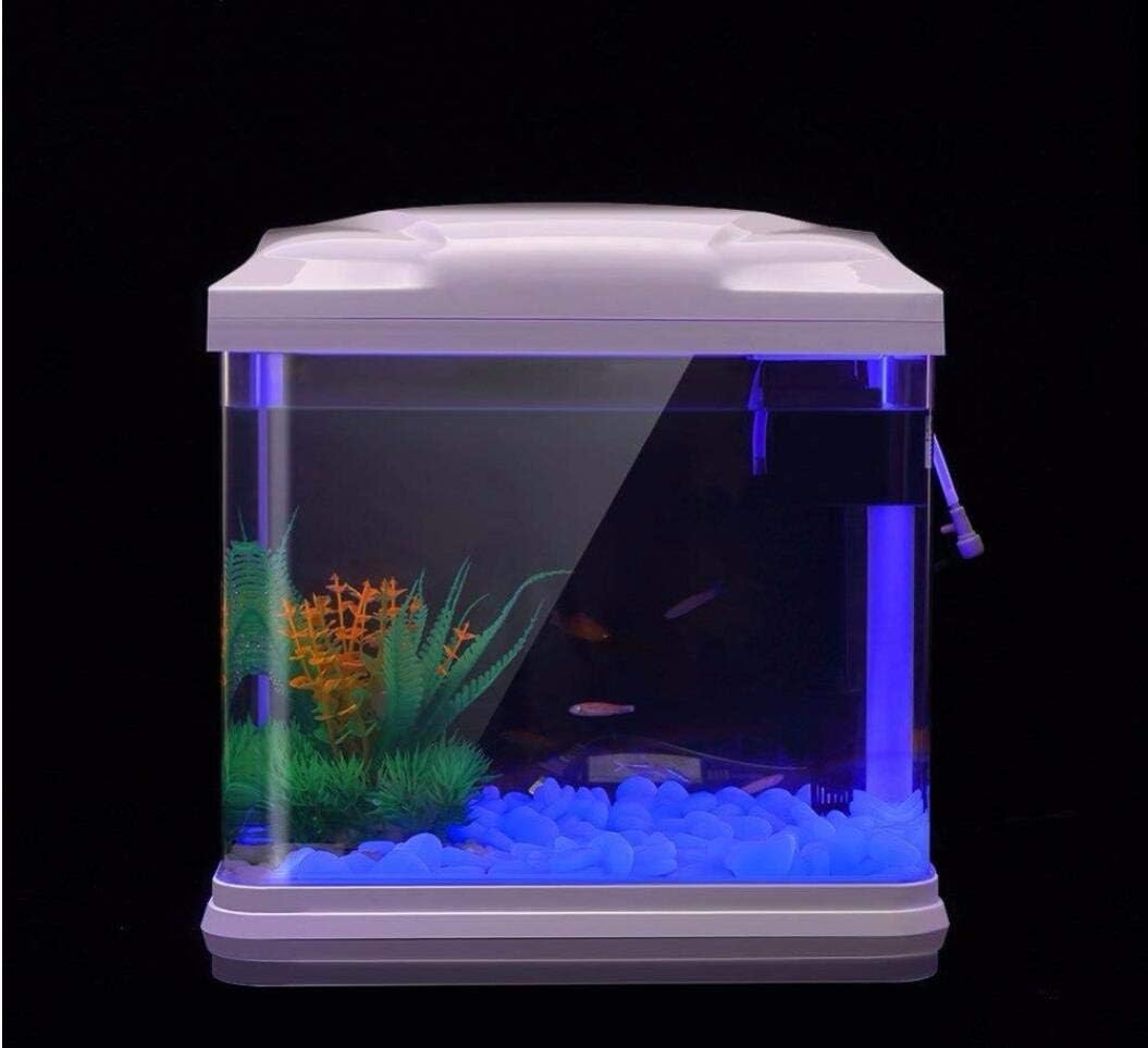 Batu Tangki Ikan Kerikil Biru  - Planted Aquarium Equipment ulasan dan harga