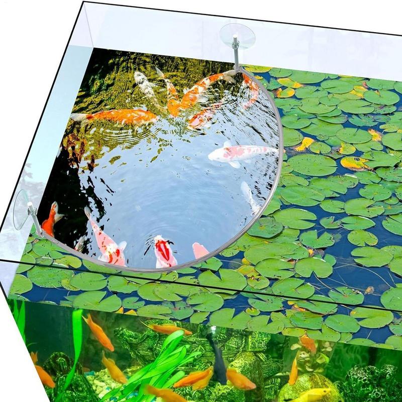 Cincin Makan Ikan Karang Tanam - Planted Aquarium Equipment ulasan dan harga