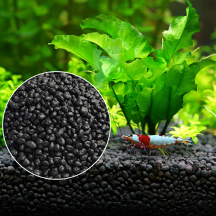 Bibit Tanaman Akuarium Tanah T - Planted Aquarium Equipment ulasan dan harga