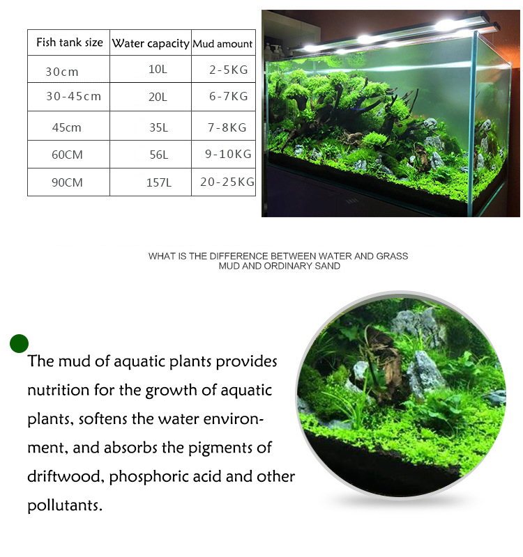 Bibit Tanaman Akuarium Tanah T - Planted Aquarium Equipment ulasan dan harga