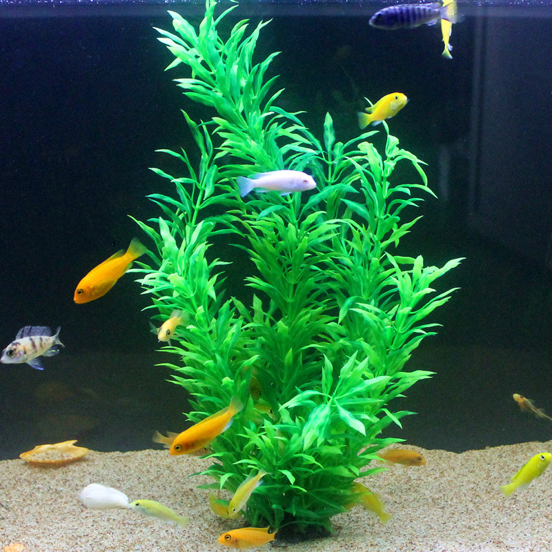 50CM Kolam Ikan Buatan Tanaman - Planted Aquarium Equipment ulasan dan harga