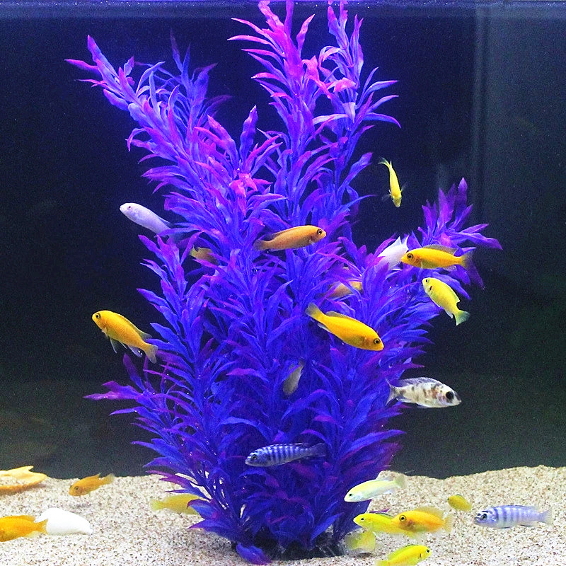 50CM Kolam Ikan Buatan Tanaman - Planted Aquarium Equipment ulasan dan harga