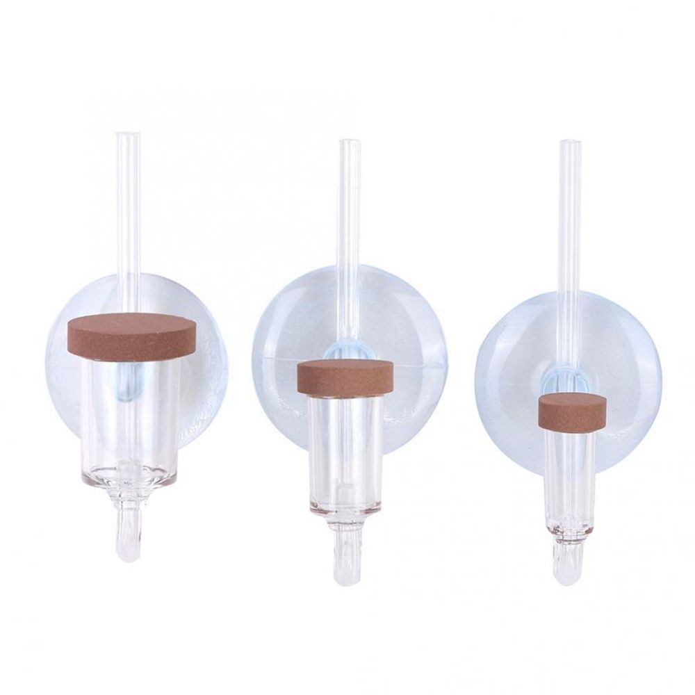 Akuarium Mini Akrilik Tanaman  - Planted Aquarium Equipment ulasan dan harga
