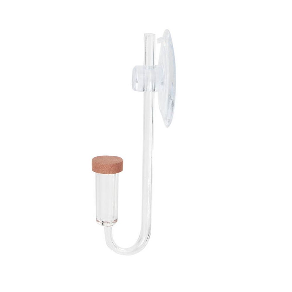 Akuarium Mini Akrilik Tanaman  - Planted Aquarium Equipment ulasan dan harga