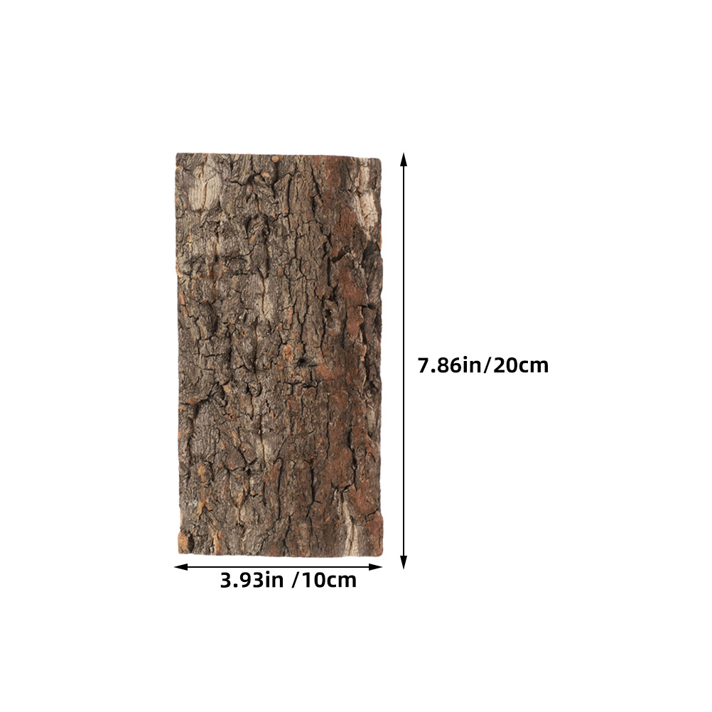 3 Buah Kulit Gabus untuk Latar - Planted Aquarium Equipment ulasan dan harga