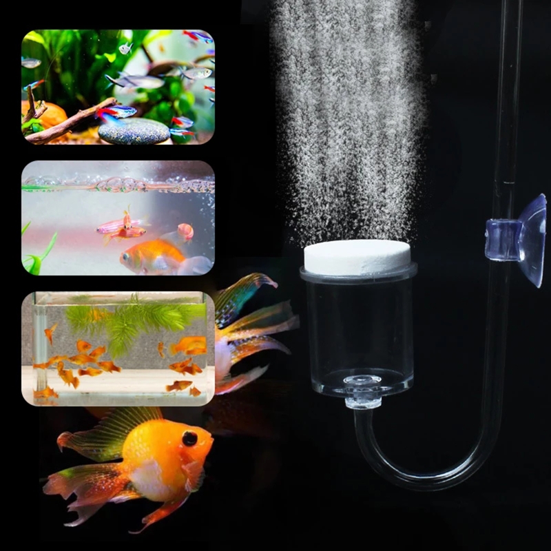 4 buah Set CO2 DIY Diffuser, u - Planted Aquarium Aquascape ulasan dan harga